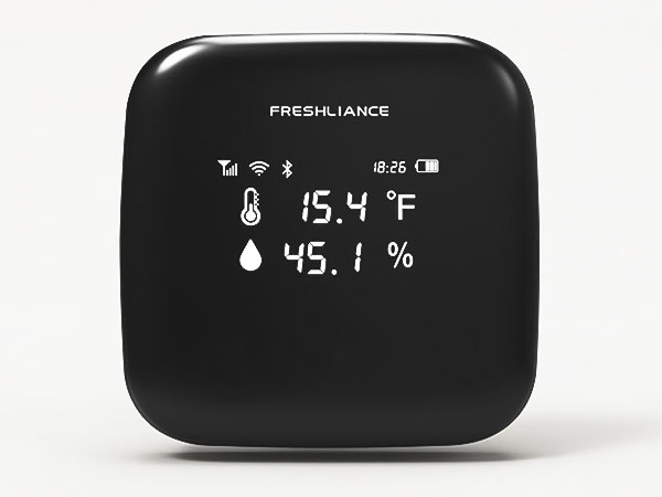 Coeus Industrial Thermometer