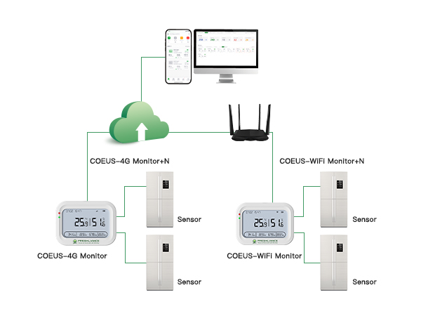 COEUS-WIFI/4G Wireless Real-time Temperature Humidity Data Logger