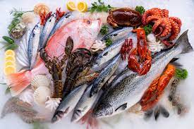 Seafood Cold Chain Needs To Use Single Use Temperature Data Logger