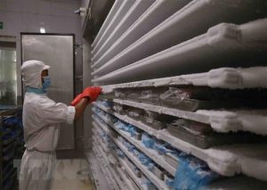 Ultra Low Temperature Data Logger For Cold Storage