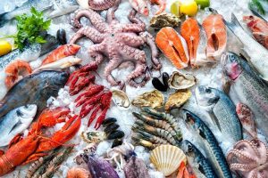 South American Seafood Temperature Data Recorder Manufacturer