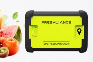 What Is The Purpose Of A Meat Temperature Data Logger