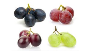 Fresh Tag 1 USB Temperature Data Logger For Grape