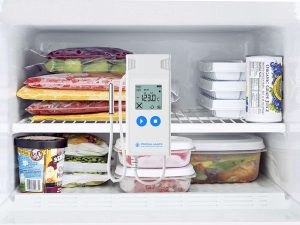Highly accurate freezer temperature logger