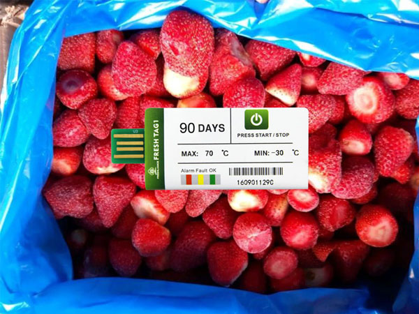 How to use the strawberry temperature data logger?