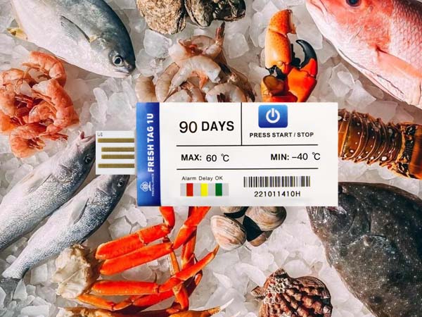 Low-temperature disposable temperature logger for frozen seafood