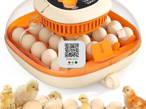Chick incubator Bluetooth temperature recorder