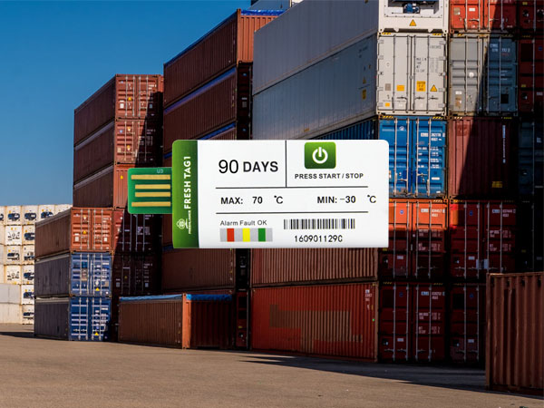 Disposable shipping temperature recorder for containers