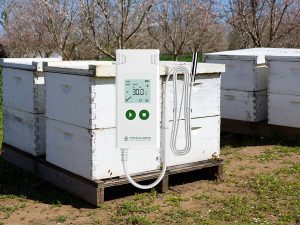 How does the beehive Temperature Humidity Data Logger work