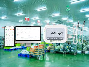 Real-time temperature recorder for fruit and vegetable cold storage warehouses
