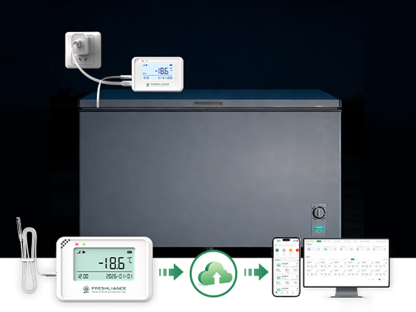 Coeus Mini Real-Time Temperature Humidity Data Logger