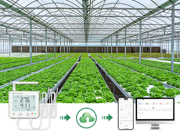 GSP100-WiFi/4G Real-time Data Logger for Illumination, Ethylene, CO2, Ammonia, Temp & Humidity, etc.