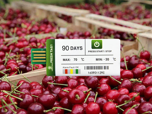 PDF Temperature Data Loggers for the Cherries Cold Chain Transport